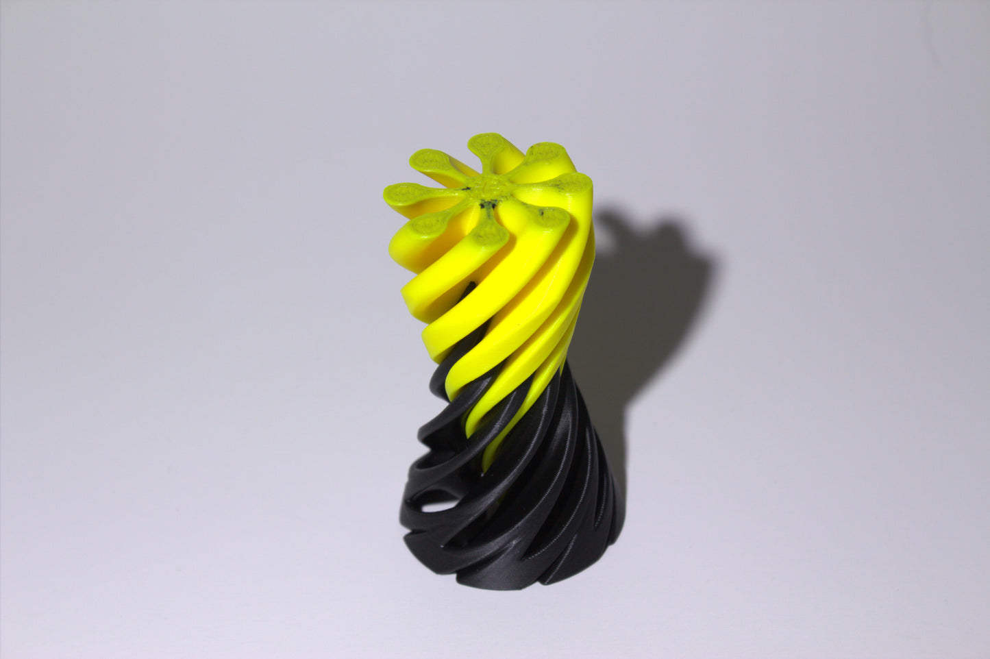 SpiralBloom